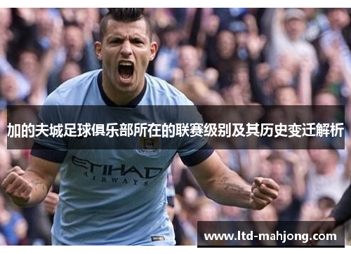 加的夫城足球俱乐部所在的联赛级别及其历史变迁解析 加的夫城足球俱乐部所在的联赛级别及其历史变迁解析
