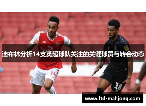 迪布林分析14支英超球队关注的关键球员与转会动态