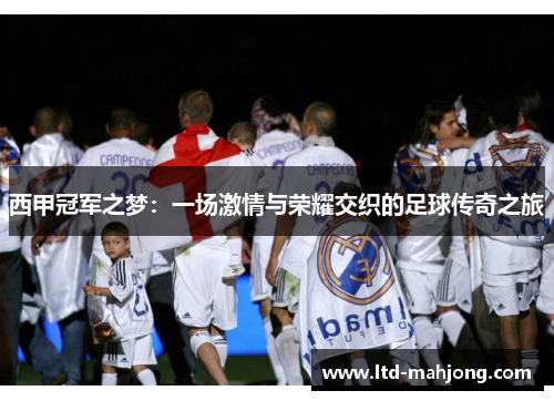 西甲冠军之梦：一场激情与荣耀交织的足球传奇之旅