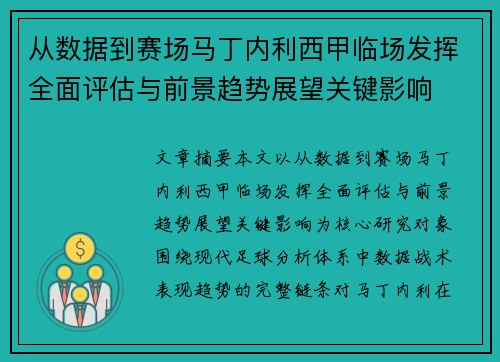 从数据到赛场马丁内利西甲临场发挥全面评估与前景趋势展望关键影响